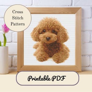 Puede incluir: Un patrón de punto de cruz enmarcado de un caniche marrón. La obra de arte está en un marco de madera y presenta el texto "Cross Stitch Pattern" y "Printable PDF". A la izquierda se ve un tulipán rosa en un jarrón blanco.