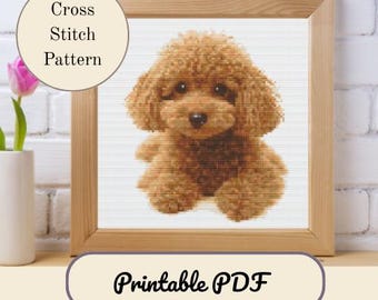 Toy Poodle Cross Stitch PDF Embroidery Pattern