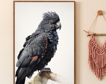 May include: A framed watercolor painting of a black cockatoo with red accents perched on a branch. The bird is facing to the right and has a white patch on its cheek. The background is white.