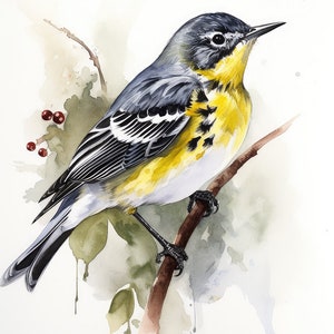 May include: Watercolor painting of a yellow-rumped warbler perched on a branch. The bird has a gray head, black and white wings, and a yellow breast. The background is a watercolor wash of green and brown.