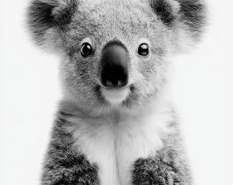 Koala Australian Animal Black & White Photo Digital Download Print