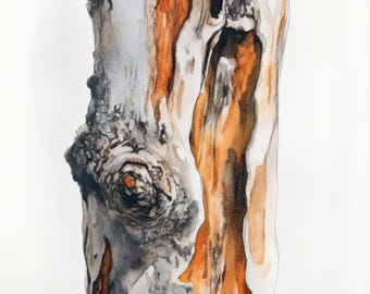 Corteza de eucalipto, pintura abstracta de acuarela de primer plano, 3 impresiones digitales descargables