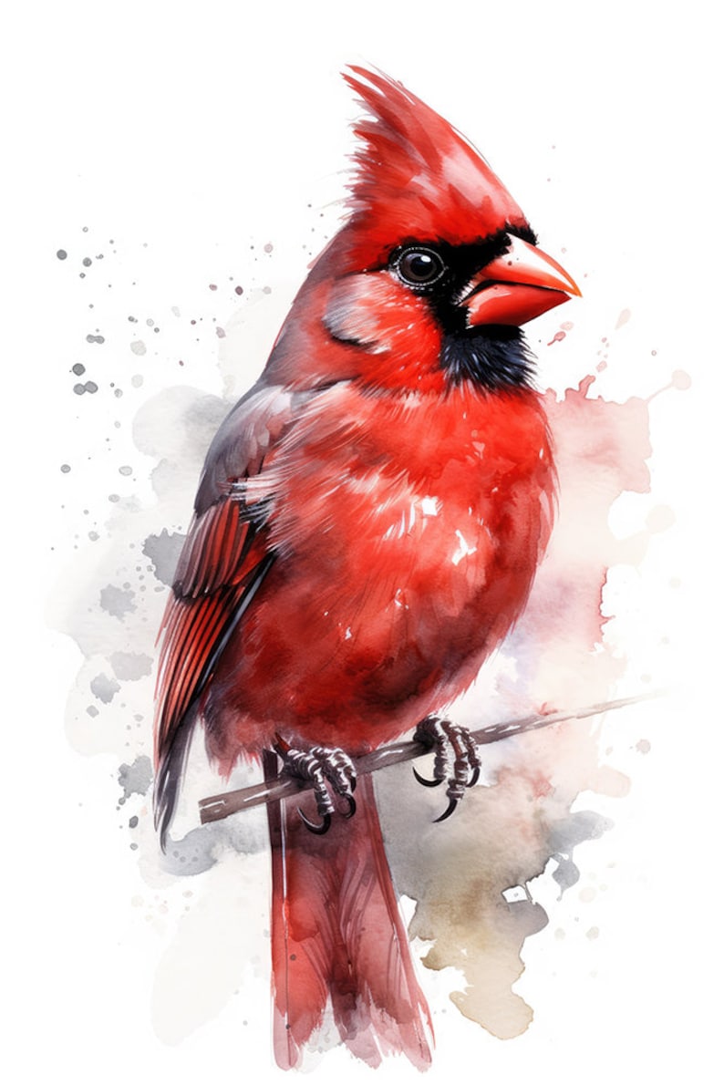Pintura de pájaro acuarela cardenal rojo 1 Impresión de descarga digital imagen 1
