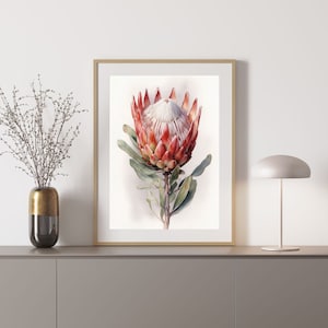 Protea 1 Australian Native Tree Flower Watercolour Painting Digital Download Print