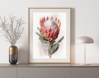 Protea 1 Australian Native Tree Flower Watercolour Painting Digital Download Print
