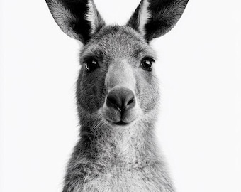 Kangaroo Australian Animal Black & White Photo Digital Download Print