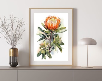 Leucospermum 2 Australian Native Tree Flower Watercolour Painting Digital Download Print