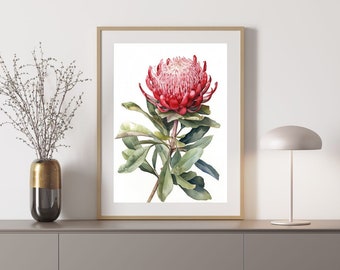 Waratah Australian Native Tree Flower Watercolour Painting Digital Download Print