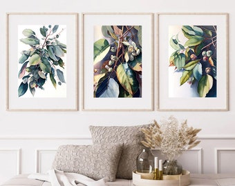 Eucalyptus Set of 3 Australian Native Tree Flower Watercolour Painting Digital Download Print