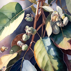 Eucalyptus Australian Native Tree Flower Watercolour Painting 5 Digital Download Print