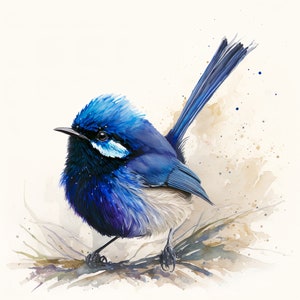 Blue Fairy Wren Watercolour Painting Digital Download Print