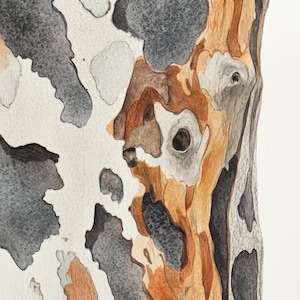 Gumtree Bark Abstract Close up Watercolour Painting 1 Digital Download Print