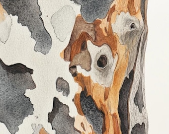 Corteza de eucalipto, pintura abstracta de acuarela de primer plano, 1 impresión digital de descarga