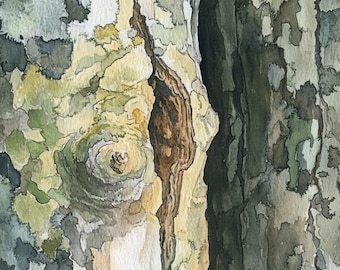 Corteza de eucalipto, pintura abstracta de acuarela de primer plano, 8 impresiones digitales descargables