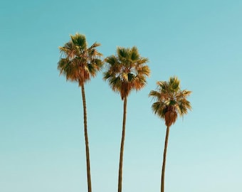 Palm trees beach vintage retro Beach Photo Surfer Coastal Photography Digital Download Print