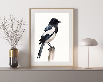 Magpie Australian Bird Watercolor Painting Digital Download Print
