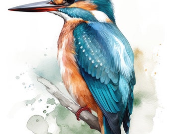 Kingfisher watercolor bird painting 1 Digital Download Print