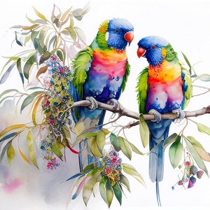 Rainbow Lorrikeets Australian Birds Watercolor Painting 1 Digital Download Print