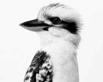 Kookaburra Australian Bird Black & White Photo Digital Download Print