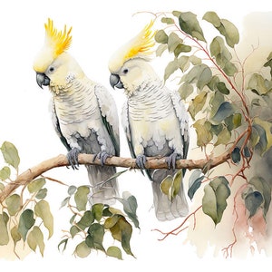 Cacatúas Aves Australianas Acuarela Pintura Digital Descargar Impresión