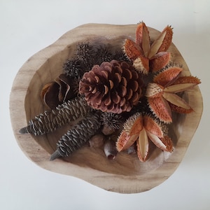 May include: A wooden bowl filled with various natural elements, including a brown pine cone, dried seed pods, and brown and orange flower pods.