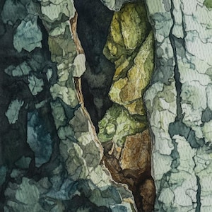 Gumtree Bark Abstract Close up Watercolour Painting 7 Digital Download Print