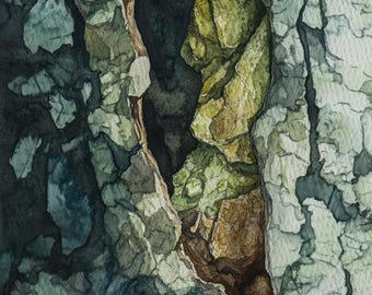Corteza de eucalipto, pintura abstracta de acuarela de primer plano, 7 impresiones digitales descargables
