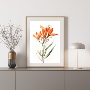 Kangaroo Paw 5 Australian Native Tree Flower Watercolour Painting Digital Download Print