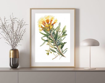 May include: A watercolor painting of a yellow and orange flower with green leaves on a white background.