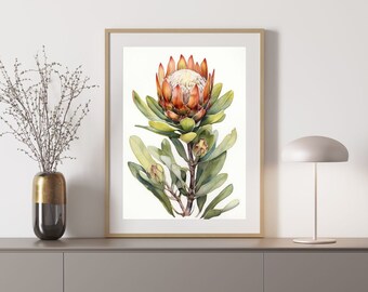 Leucadendron 3 Australian Native Tree Flower Watercolour Painting Digital Download Print
