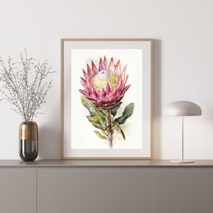 Protea 2 Australian Native Tree Flower Watercolour Painting Digital Download Print
