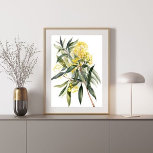 Wattle Australian Native Tree Flower Watercolour Painting Digital Download Print
