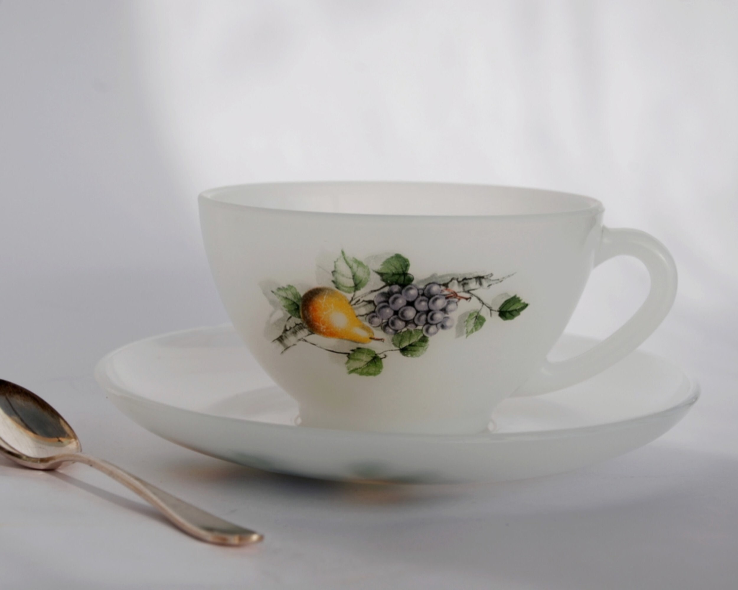 Tasse et Soucoupe Vintage Arcopal France