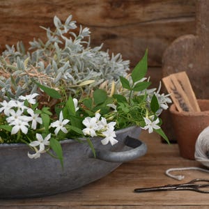 Vintage Zinc Planter Bowl : Rustic Metal Wash Basin, Garden Decor