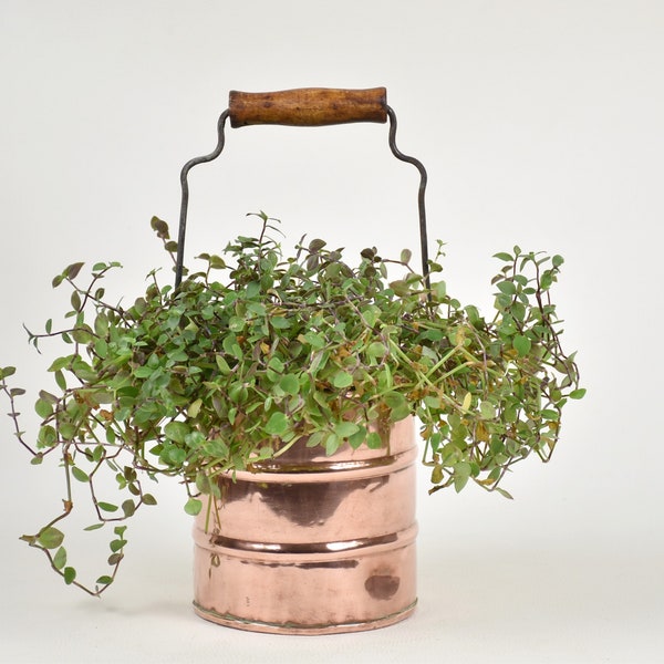 Ancien petit cache pot en cuivre, Avec une poignée en bois, A suspendre, Pour plantes d'intérieur et succulentes