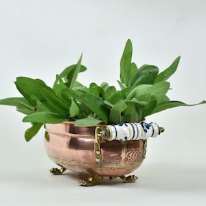 Small copper planter with handles : Indoor jardiniere or plant pot for succulents