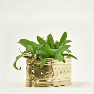 Petite jardinière vintage en laiton gravé, Pot à plantes grasses, Décoration bohème, Milieu du siècle
