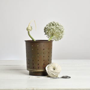 Peut inclure: Un récipient cylindrique en métal brun patiné avec une surface perforée, contenant deux têtes de fleurs d'ail blanc. Une pelote de ficelle blanc cassé et une petite paire de ciseaux en métal sont placées devant le récipient.