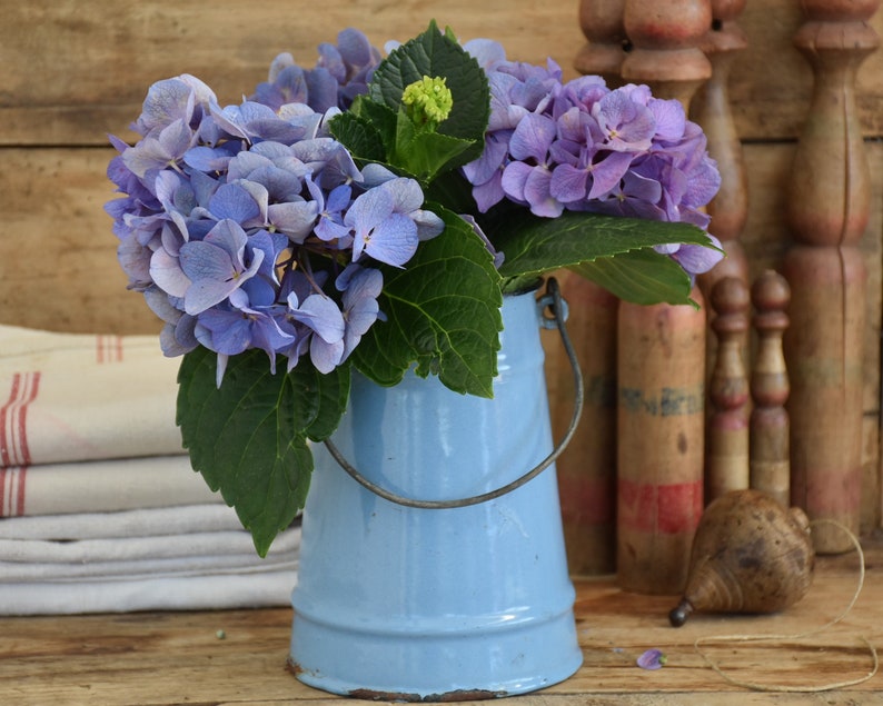 Blue enamelware milk can, Vase metal, Kitchen utensil holder, Farmhouse home decor vintage image 1