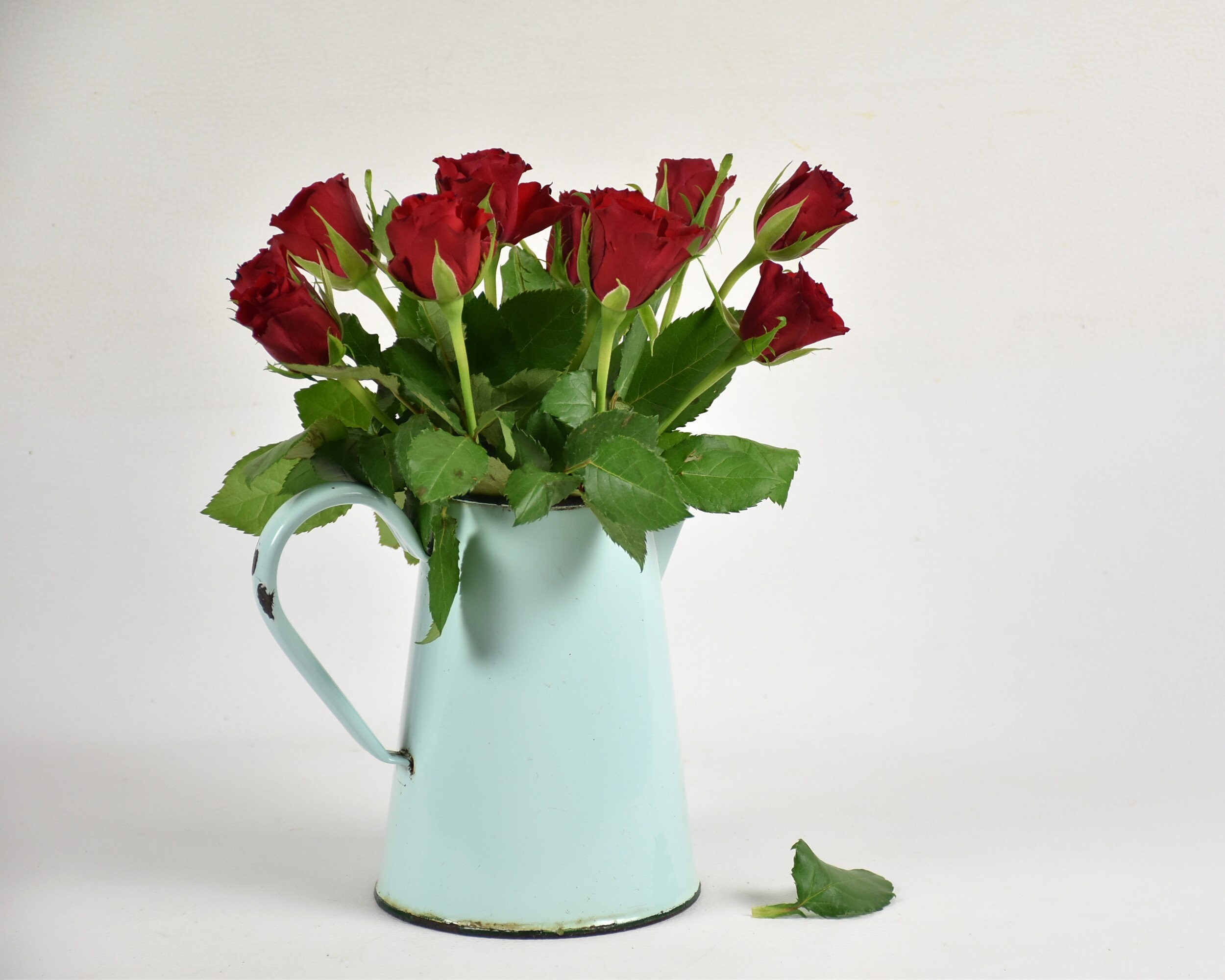 Ancien Petit Broc à Eau ou Pichet Émaillé Vert Pale avec Bec Verseur, Années 1950