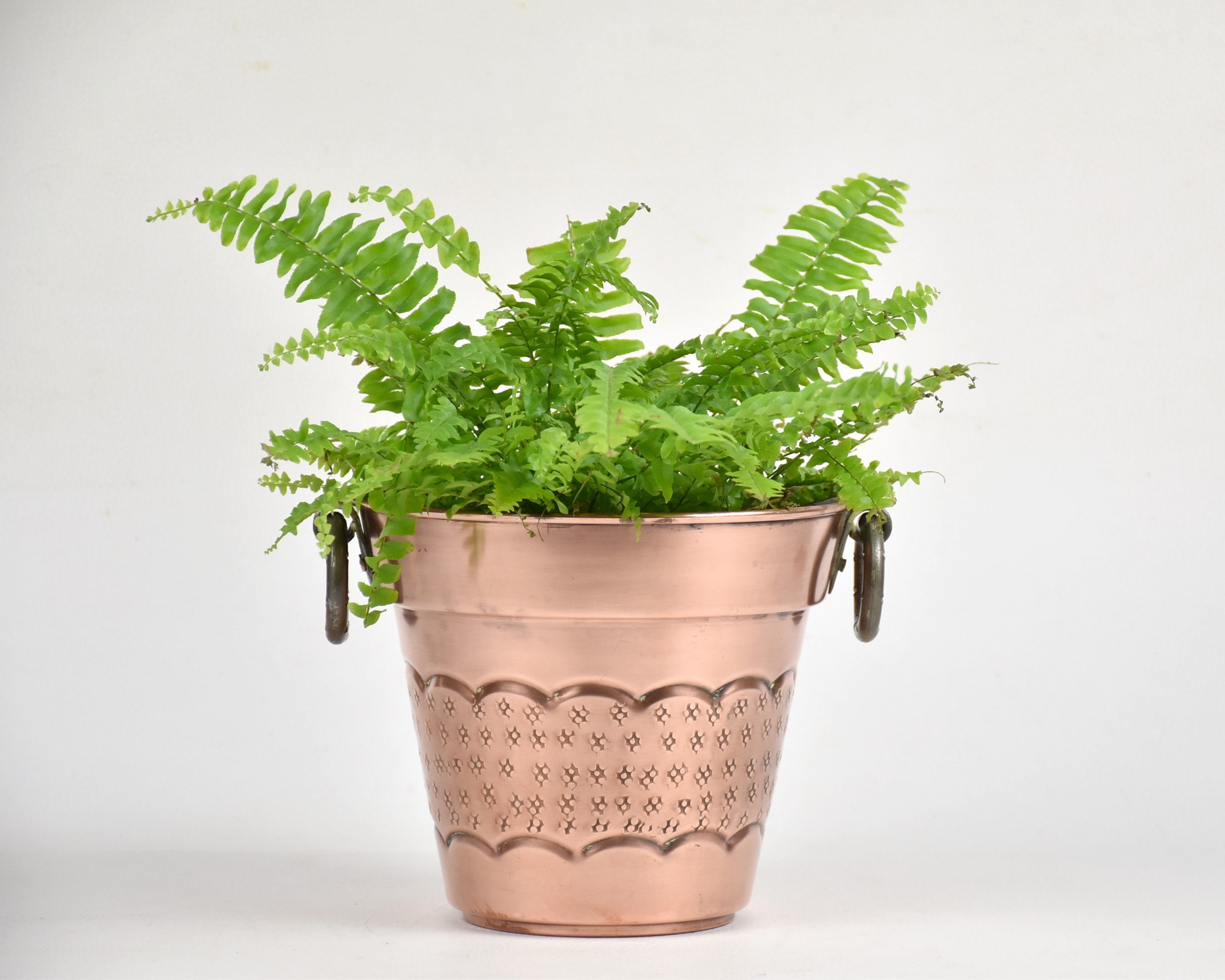 Ancien Cache Pot en Cuivre Pour Une Décoration Vintage, Villedieu