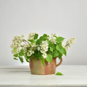 Vintage fransk stengods confitkruka - Rustik lantlig inredning - Vas i köksskåp