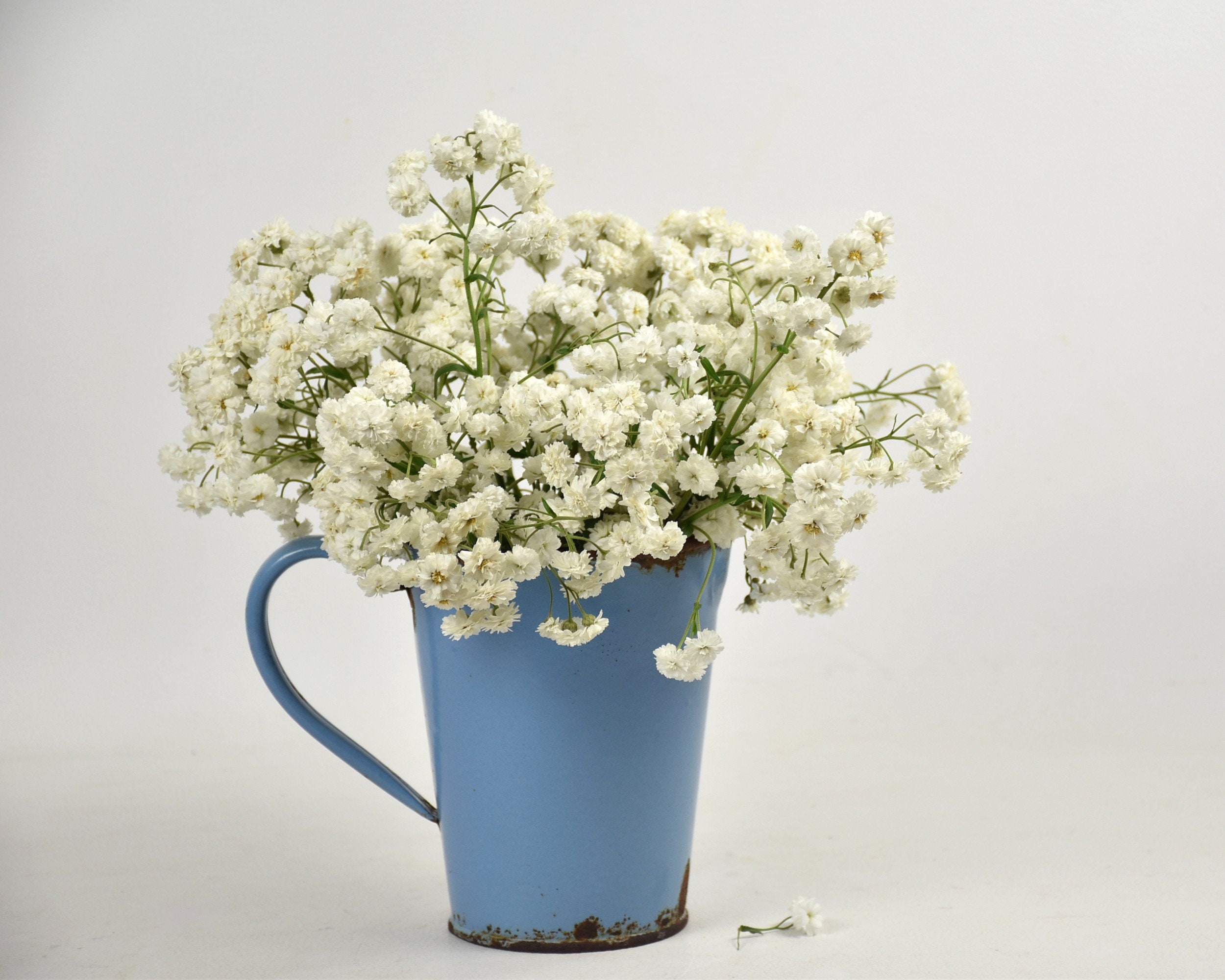 Ancien Petit Pichet Émaillé Bleu avec Bec Verseur, Décoration Cuisine, Salle de Bain et Jardin Vinta