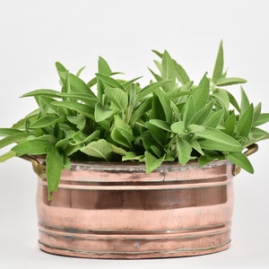 Oval copper planter jardiniere : Succulent pot - Table centerpiece vintage - Wedding anniversary gift for wife