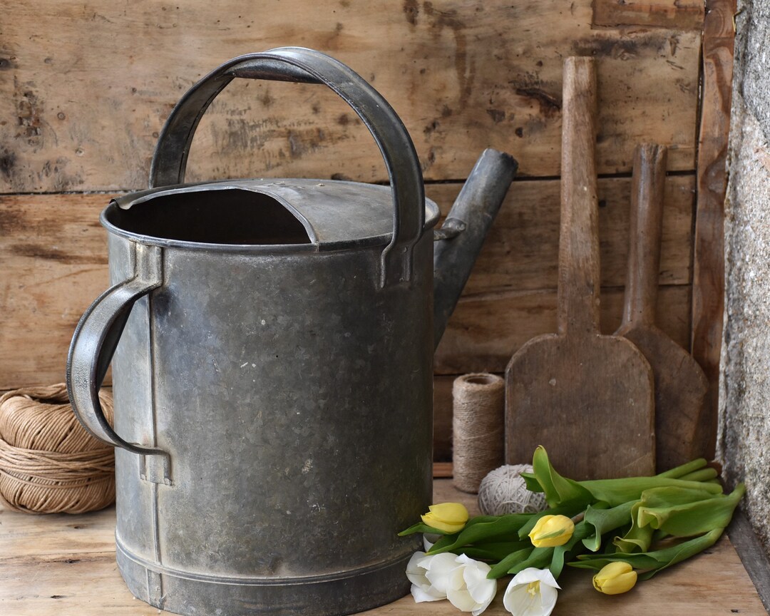 Large Galvanized Watering Can Vintage Outdoor Farmhouse Home Decor Antique Garden Gift Etsy