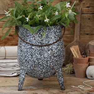 Può includere: Una fioriera in metallo maculato bianco e nero con tre gambe e un manico, piena di piante verdi e fiori bianchi. La fioriera è appoggiata su una superficie di legno, con attrezzi e forniture da giardinaggio sullo sfondo.