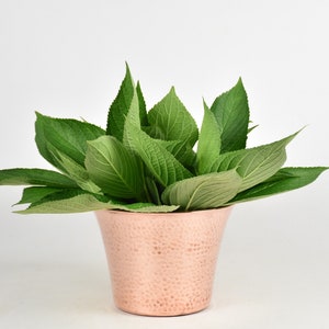 Peut inclure: Un bouquet de feuilles vertes dans un pot en cuivre martelé.