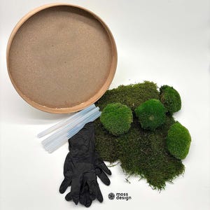 Moss circle - DIY SET