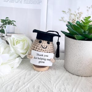 Cute Handmade Crochet Plants,Emotional Support Plants,Back To School Gift,Thank you Gifts for Friends/Family/Teacher/Graduation Gift.