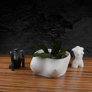 STL Female Torso Planter + 2 Female Body Bonus Figurines | 3D Print File | Artistic Sculpture, Modern Home Decor, Digital Download